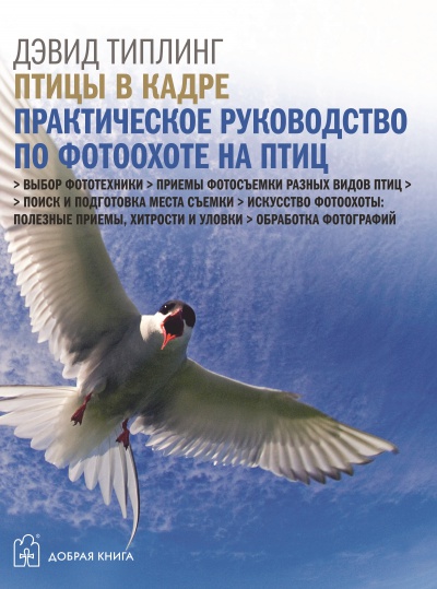 Птицы в кадре