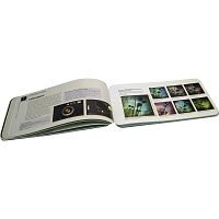Искусство iPhone-фотографии