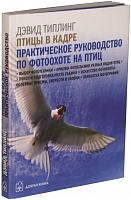 Птицы в кадре