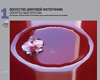 Цифровая фотография: инструменты мастера