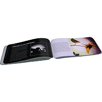 Искусство iPhone-фотографии