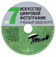 Цифровая фотография: инструменты мастера