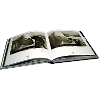 Большая книга кошек